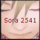 Sora 2541