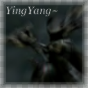 YingYangWarrior